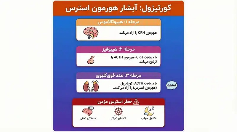 اینفوگرافیک مکانیزم علمی استرس فکری